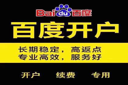 百度竞价广告投放数据分析